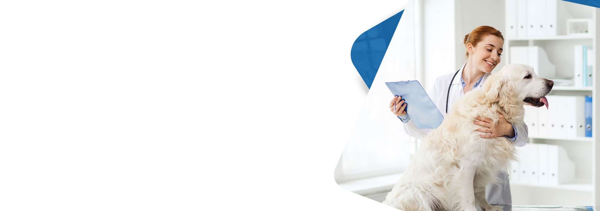 A caring practitioner reviewing client details with methodical attention